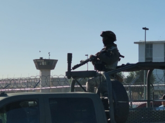 Molestia Entre Sicarios